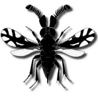 Avatar von Stefan Schmidt